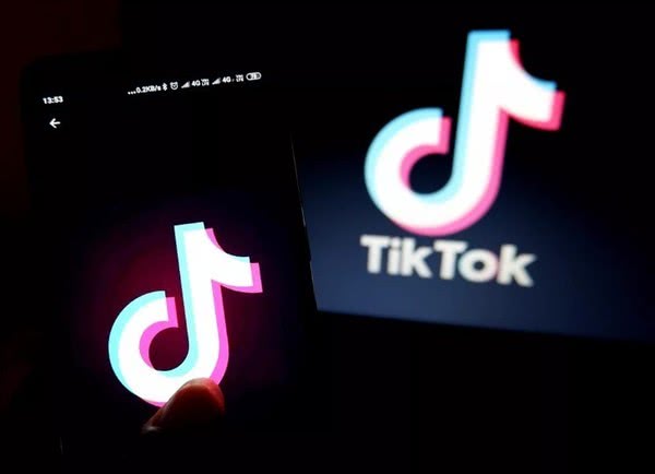 TikTok内容营销成功案例